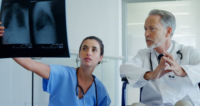 Medical Professionals Examining X-ray Results in Hospital - Download Free Stock Images Pikwizard.com