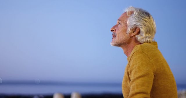 Senior Man Gazing at Sundown Horizon, Contemplating Life - Download Free Stock Images Pikwizard.com