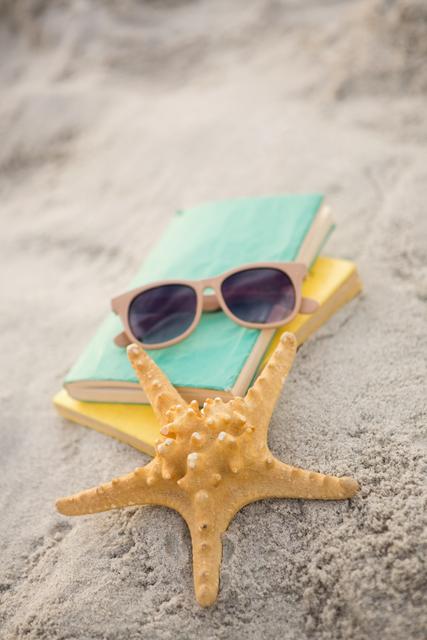 Starfish, sunglasses and books on sand at beach