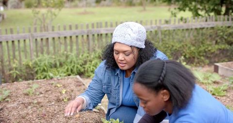 Kneeling women planting seedlings in community garden bed near wooden fence spring outdoors