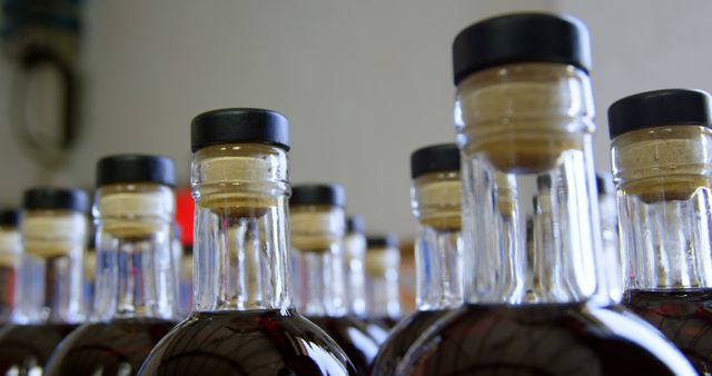 Close-up of liquor bottles arranged in factory 4k