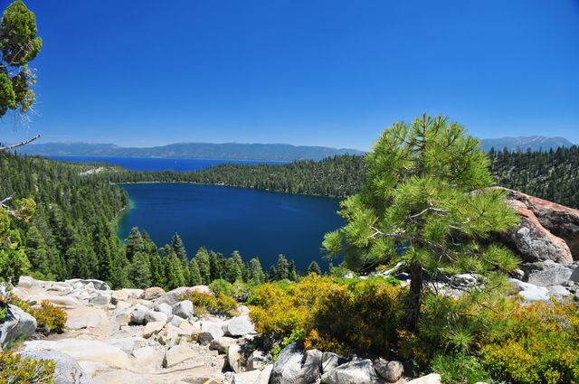 Perfect for backgrounds and travel advertisements, this nature scene showcases a pristine mountain lake surrounded by pine trees under a clear blue sky. Ideal for illustrating serenity and natural beauty, it can also be used to promote outdoor activities like hiking, camping, and eco-tourism.