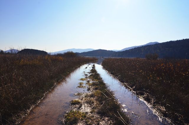 Photograph depicting a muddy rural path surrounded by wetlands, with distant mountains under a blue sky. Ideal for use in outdoor adventure magazines, environmental blogs emphasizing rural beauty, or travel brochures showcasing peaceful, natural landscapes.