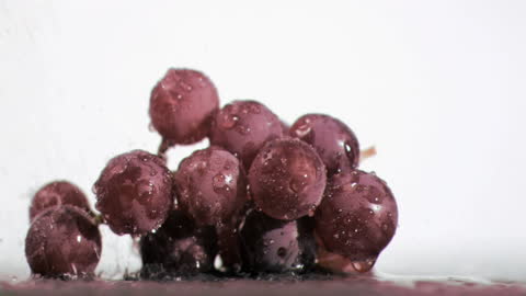 Purple Grapes with Dew Shot in Slow Motion in Studio
