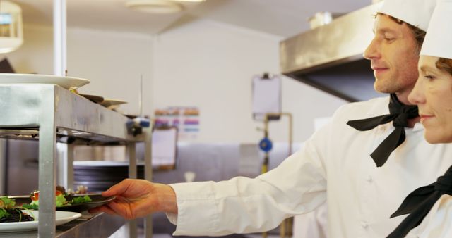 Professional Chefs Working in Commercial Kitchen, Preparing Meals - Download Free Stock Images Pikwizard.com