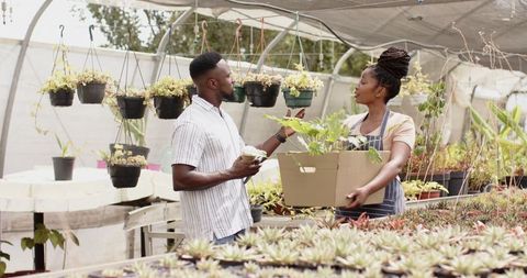 Nursery Coworkers Collaborate in Plant Inspection at Greenhouse