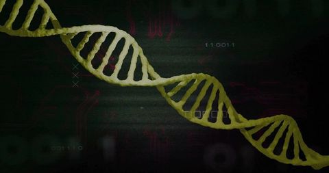 Yellow-green dna double helix hovering across neon digital interface genomics research