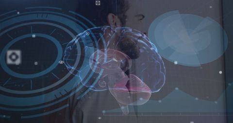 Digital Brain and Data Processing Interface with Doctor