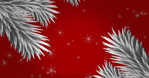 White Christmas Tree Branches with Snowflakes on Red Background