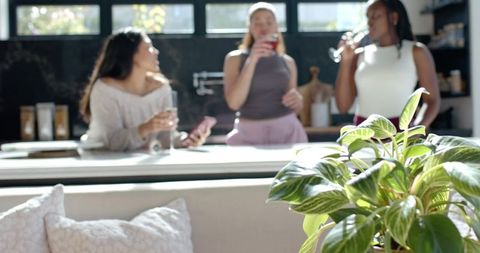 Diverse women chatting over drinks in bright modern kitchen with green houseplant foreground