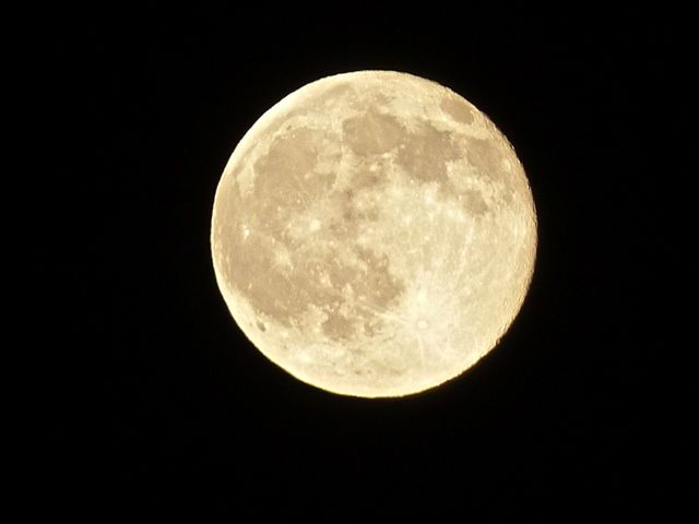 Close-up view of a bright, full moon illuminating the clear, dark night sky. Ideal for use in astronomy content, educational materials, space-themed projects, or to evoke themes of calm and nature. Suitable for websites, blogs, presentations, and social media posts.