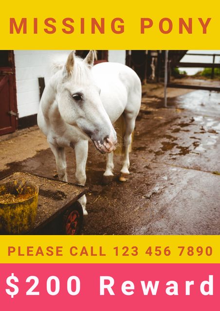 Poster for lost pony with reward offer. Encourages public to look for missing animal and contact with any information. Useful for increasing awareness in local area.