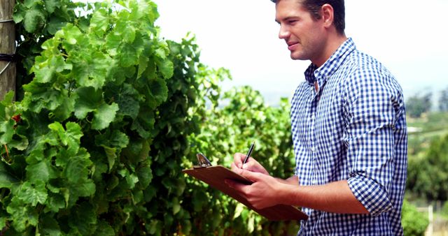 Young Man Inspecting Vineyard and Taking Notes on Clipboard - Download Free Stock Images Pikwizard.com