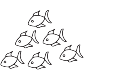 vector illustration of transparent fish sketches with unique highlight - Download Free Stock Videos Pikwizard.com