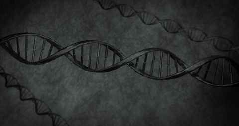 Monochrome DNA Helix on Dark Background Illustrating Genetics