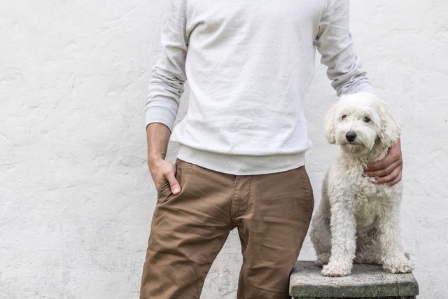 Man Standing Next to White Poodle Dog Against White Wall - Download Free Stock Photos Pikwizard.com