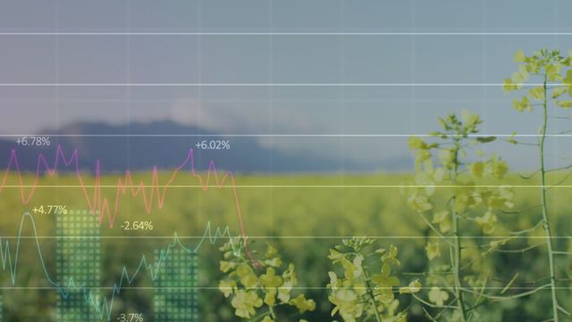 Ideal for depicting the intersection of nature and technology, this video combines a serene countryside setting with overlaying financial data graphs. Perfect for articles on economic impacts in rural areas, agriculture analytics, or presentations on environmental sustainability influenced by global events like a pandemic.