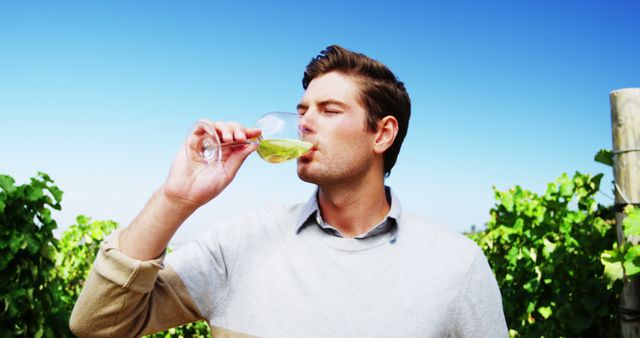 Young Man Enjoying Wine Tasting in Vineyard - Download Free Stock Images Pikwizard.com