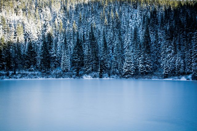 Serene Frozen Lake with Snow-Covered Evergreen Trees - Download Free Stock Photos Pikwizard.com
