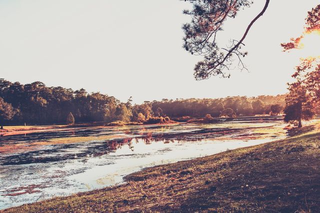 Sunset Reflections Across Serene Lake in Forest - Download Free Stock Images Pikwizard.com