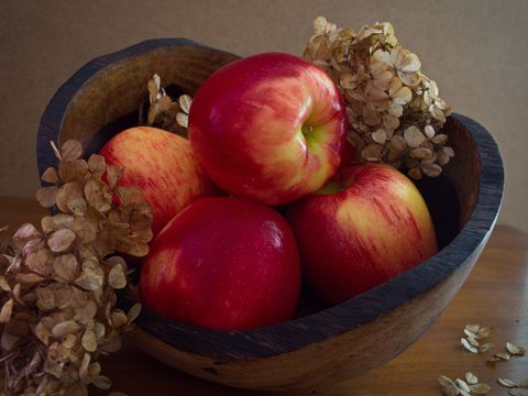 Rustic wooden bowl of glossy red apples with dried hydrangea on wood table