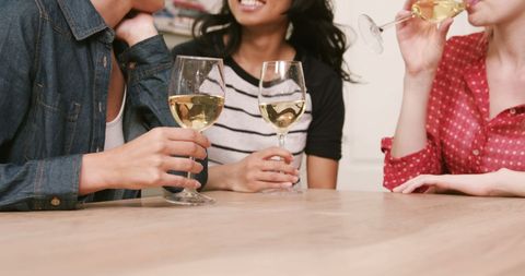 Close-Up of Friends Enjoying White Wine Indoors Relaxing