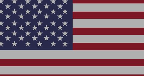 American Flag with Patriotic and Business Theme Graphics