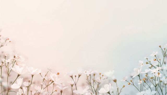 Blooming white wildflowers with delicate stems and pastel gradient background