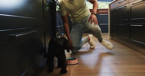 Man playing with puppy on wooden kitchen floor