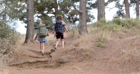 Women hiking through scenic woodland trail adventure
