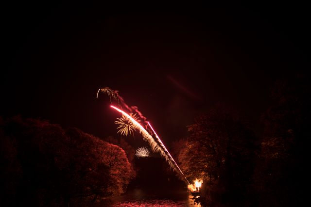 Fireworks Display Over Dark Night Sky and Trees - Download Free Stock Photos Pikwizard.com