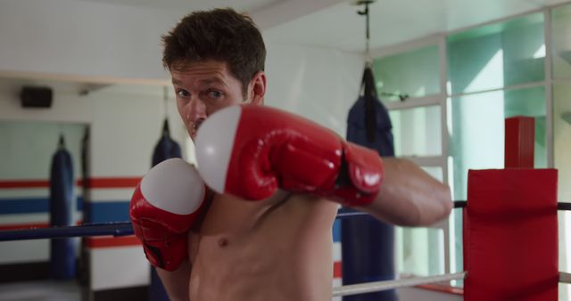 Man Practicing Boxing in Gym with Red Gloves - Download Free Stock Images Pikwizard.com