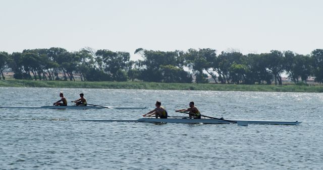 Rowers racing on calm lake during sunny day with trees in background - Download Free Stock Images Pikwizard.com