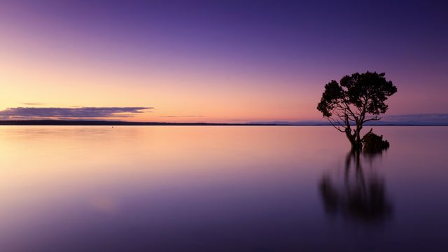 Serene setting with an isolated tree reflecting on a calm lake during sunset. Perfect for backgrounds, meditative content, relaxation themes, nature blogs, and environmental awareness campaigns.