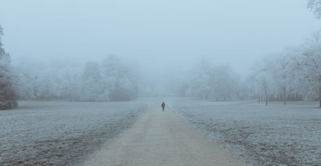Individual walking down a frosty, foggy path surrounded by bare trees and snow-covered ground. Image evokes a sense of solitude and peacefulness, making it suitable for themes related to winter, solitary walks, nature, and minimalistic landscape presentations.