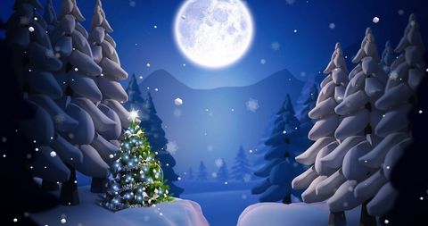 Magical Christmas Tree in Snowy Moonlit Forest - Download Free Stock Images Pikwizard.com