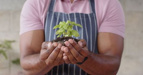 Garden enthusiast holding seedling wearing apron