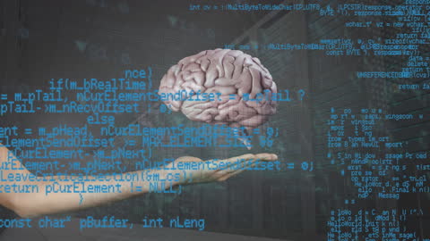 Human Brain Visualization with Digital Interface