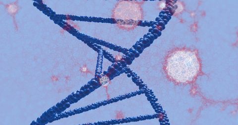 Colorful DNA Strand Representation with Molecular Structures