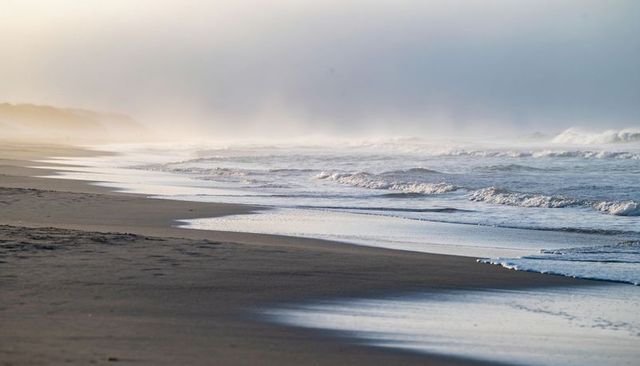 Moody misty coastline with curving reflective wet sand and gentle breaking waves