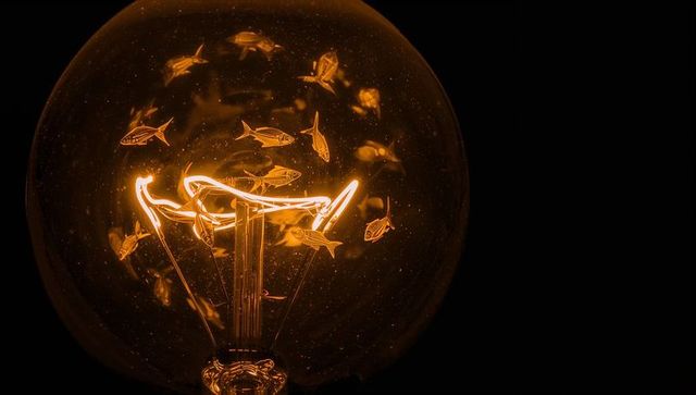 Globe bulb emitting warm filament glow with fish etchings and amber reflections