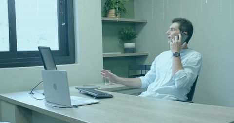 Business Professional Discussing on Phone in Office