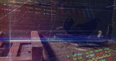 Rural setting with dog and financial data overlay