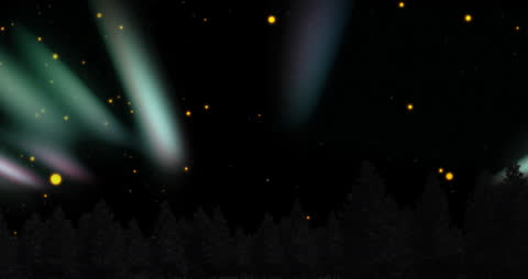 Enchanting Light Trails over Starry Forest