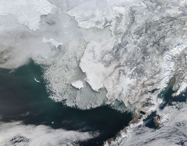 On February 4, 2014 the Moderate Resolution Imaging Spectroradiometer (MODIS) flying aboard NASA’s Aqua satellite captured a true-color image of sea ice off of western Alaska.  In this true-color image, the snow and ice covered land appears bright white while the floating sea ice appears a duller grayish-white. Snow over the land is drier, and reflects more light back to the instrument, accounting for the very bright color. Ice overlying oceans contains more water, and increasing water decreases reflectivity of ice, resulting in duller colors. Thinner ice is also duller. The ocean waters are tinted with green, likely due to a combination of sediment and phytoplankton.  Alaska lies to the east in this image, and Russia to the west. The Bering Strait, covered with ice, lies between to two. South of the Bering Strait, the waters are known as the Bering Sea. To the north lies the Chukchi Sea. The bright white island south of the Bering Strait is St. Lawrence Island. Home to just over 1200 people, the windswept island belongs to the United States, but sits closer to Russia than to Alaska. To the southeast of the island a dark area, loosely covered with floating sea ice, marks a persistent polynya – an area of open water surrounded by more frozen sea ice. Due to the prevailing winds, which blow the sea ice away from the coast in this location, the area rarely completely freezes.  The ice-covered areas in this image, as well as the Beaufort Sea, to the north, are critical areas for the survival of the ringed seal, a threatened species. The seals use the sea ice, including ice caves, to rear their young, and use the free-floating sea ice for molting, raising the young and breeding. In December 2014, the National Oceanic and Atmospheric Administration (NOAA) proposed that much of this region be set aside as critical, protected habitat for the ringed seal.  Credit: NASA/GSFC/Jeff Schmaltz/MODIS Land Rapid Response Team   <b><a href="http://www.nasa.gov/audience/formedia/features/MP_Photo_Guidelines.html" rel="nofollow">NASA image use policy.</a></b>  <b><a href="http://www.nasa.gov/centers/goddard/home/index.html" rel="nofollow">NASA Goddard Space Flight Center</a></b> enables NASA’s mission through four scientific endeavors: Earth Science, Heliophysics, Solar System Exploration, and Astrophysics. Goddard plays a leading role in NASA’s accomplishments by contributing compelling scientific knowledge to advance the Agency’s mission. <b>Follow us on <a href="http://twitter.com/NASAGoddardPix" rel="nofollow">Twitter</a></b> <b>Like us on <a href="http://www.facebook.com/pages/Greenbelt-MD/NASA-Goddard/395013845897?ref=tsd" rel="nofollow">Facebook</a></b> <b>Find us on <a href="http://instagram.com/nasagoddard?vm=grid" rel="nofollow">Instagram</a></b> 