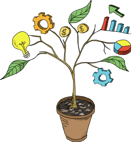 business growth concept plant illustration on transparent background - Download Free Stock Videos Pikwizard.com