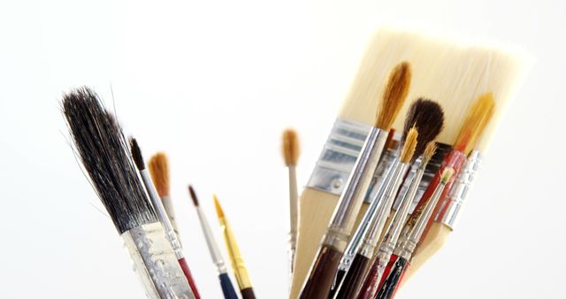 Assorted Paint Brushes for Artistic Creativity on White Background - Download Free Stock Images Pikwizard.com