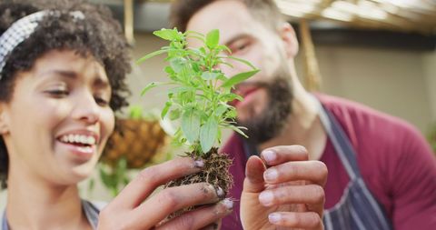 Diverse Couple Enjoying Gardening Together at Home - Download Free Stock Images Pikwizard.com