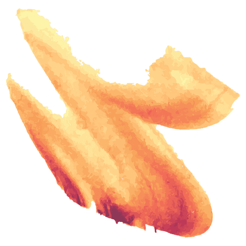 Abstract Orange Shapes on Transparent Background Design - Download Free Stock Videos Pikwizard.com