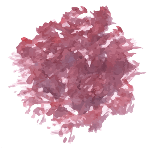 Abstract Pink Paint Dance on Transparent Background - Download Free Stock Videos Pikwizard.com